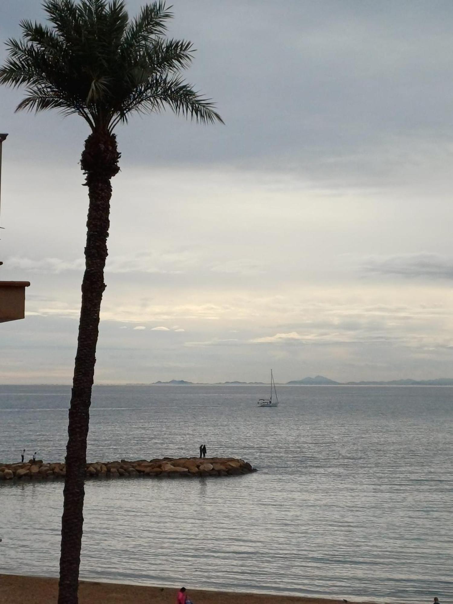 Умные Новые Аппартаменты В Торревьехе Torrevieja Dış mekan fotoğraf
